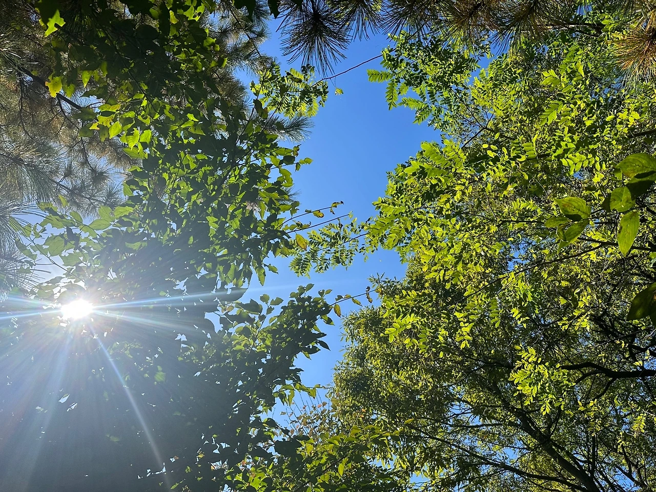 KakaoTalk_Photo_2023-10-21-16-28-43 007.jpeg