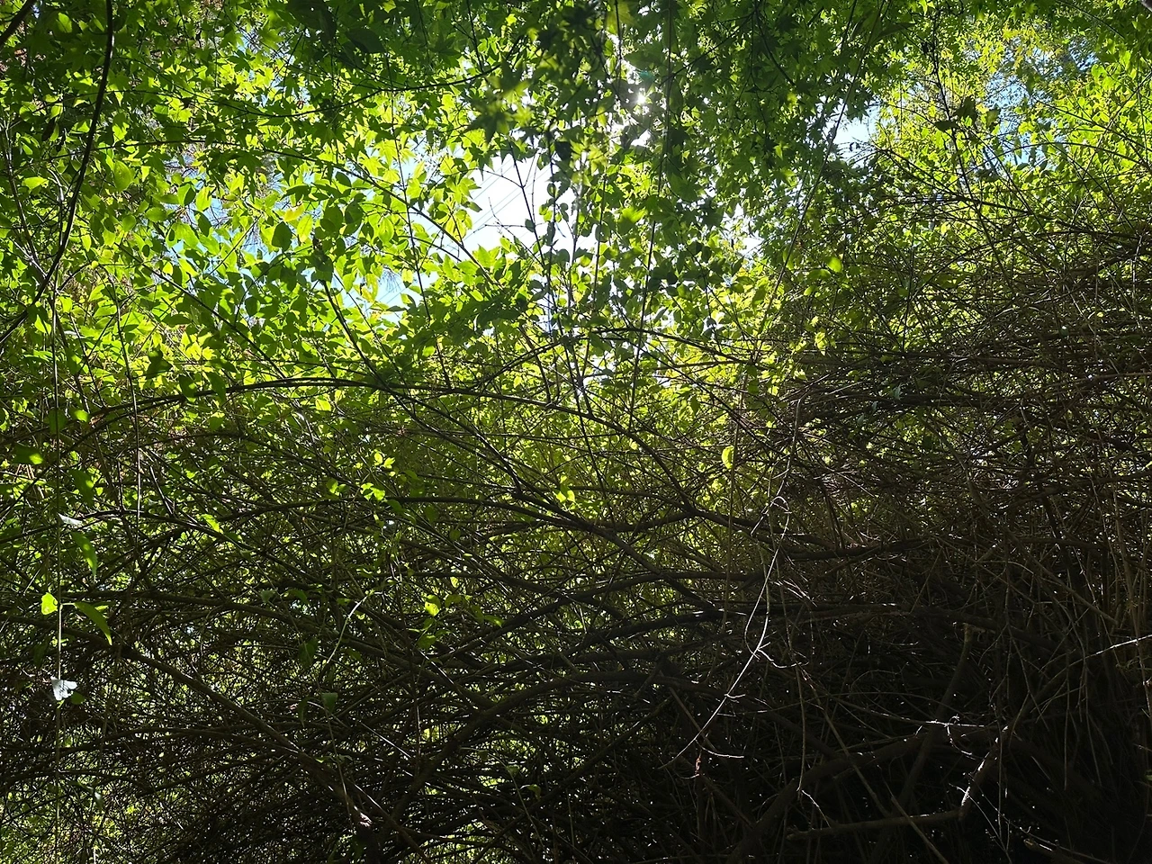 KakaoTalk_Photo_2023-10-21-16-28-42 001.jpeg