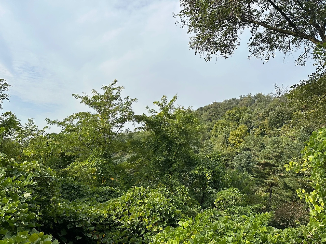 KakaoTalk_Photo_2023-10-18-23-11-16 013.jpeg