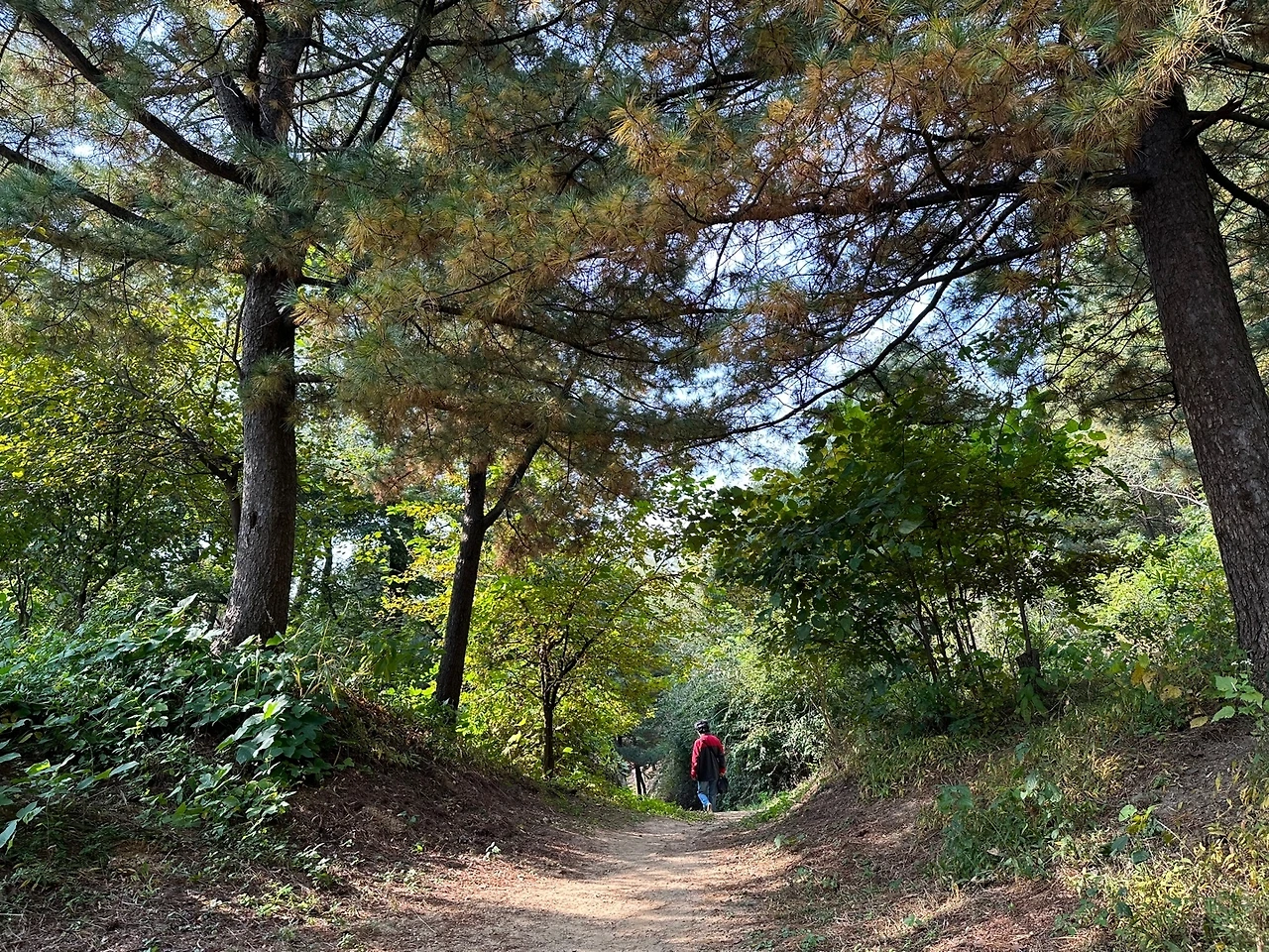 KakaoTalk_Photo_2023-10-24-18-19-07 007.jpeg