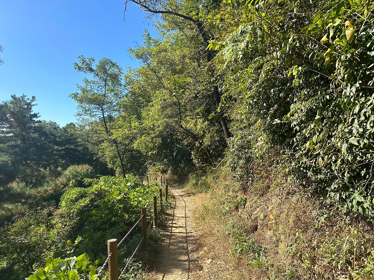 KakaoTalk_Photo_2023-10-21-16-28-44 012.jpeg