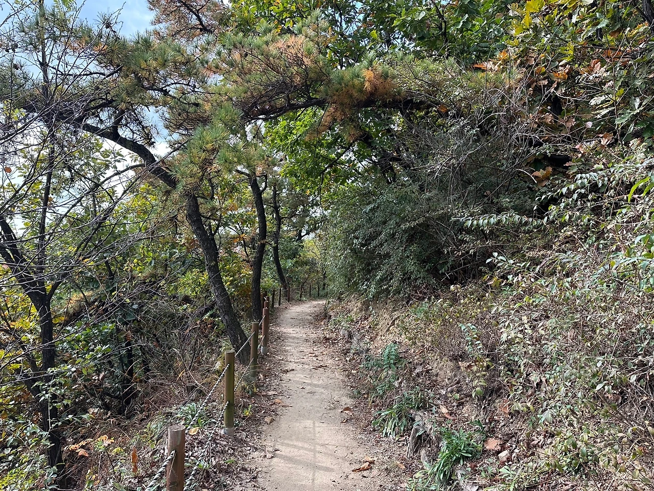 KakaoTalk_Photo_2023-10-27-15-58-25 001.jpeg