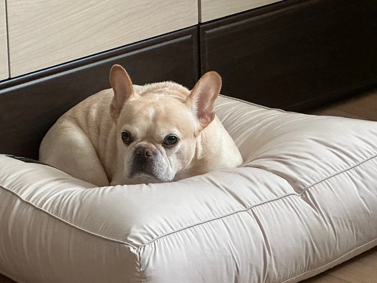 KakaoTalk_Photo_2023-10-27-15-58-29 010.jpeg