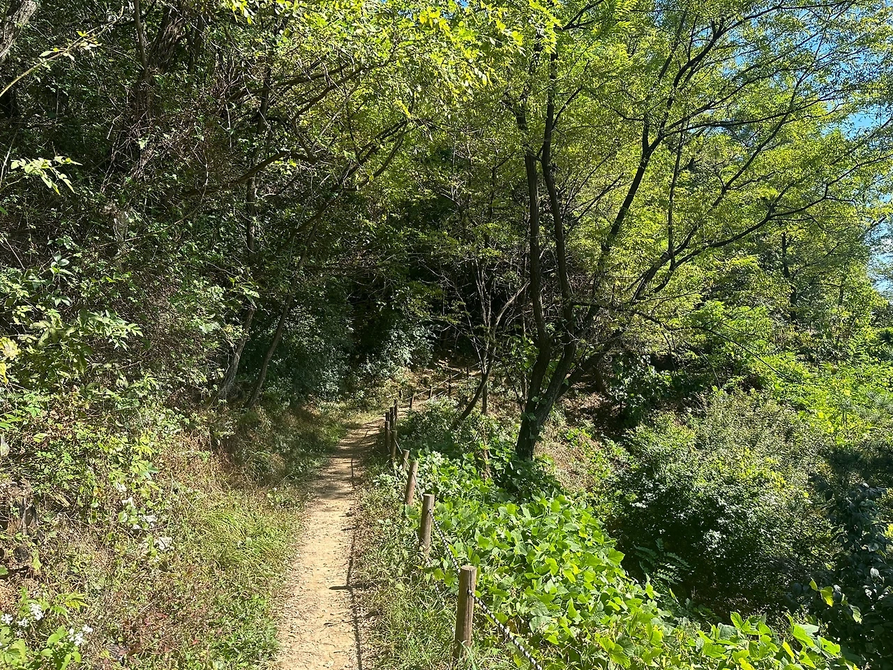 KakaoTalk_Photo_2023-10-21-16-28-44 010.jpeg