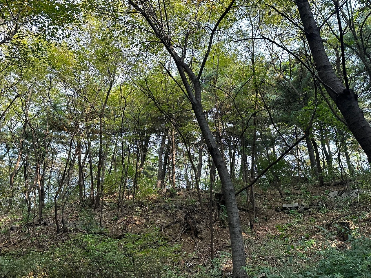 KakaoTalk_Photo_2023-10-24-18-19-09 016.jpeg