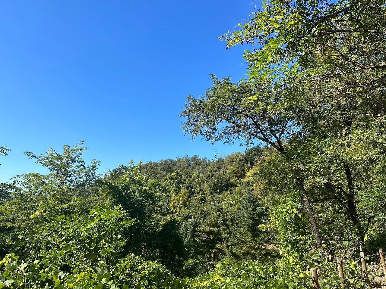 KakaoTalk_Photo_2023-10-21-16-28-45 016.jpeg