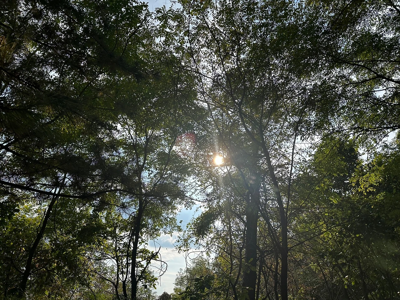 KakaoTalk_Photo_2023-10-23-18-15-33 002.jpeg