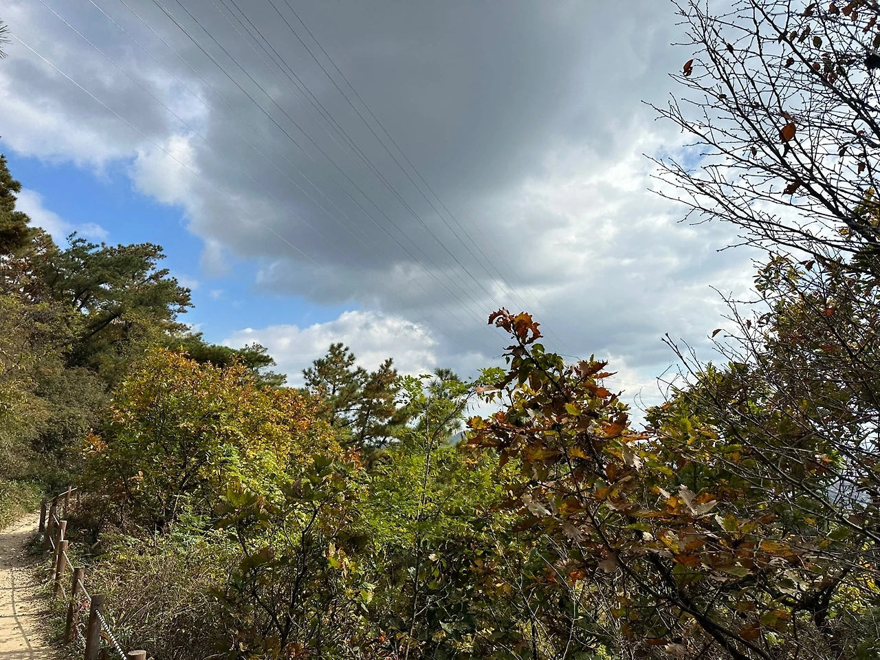 KakaoTalk_Photo_2023-10-27-15-58-26 002.jpeg