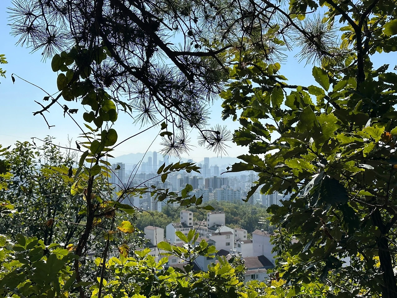 KakaoTalk_Photo_2023-10-16-17-26-45 004.jpeg