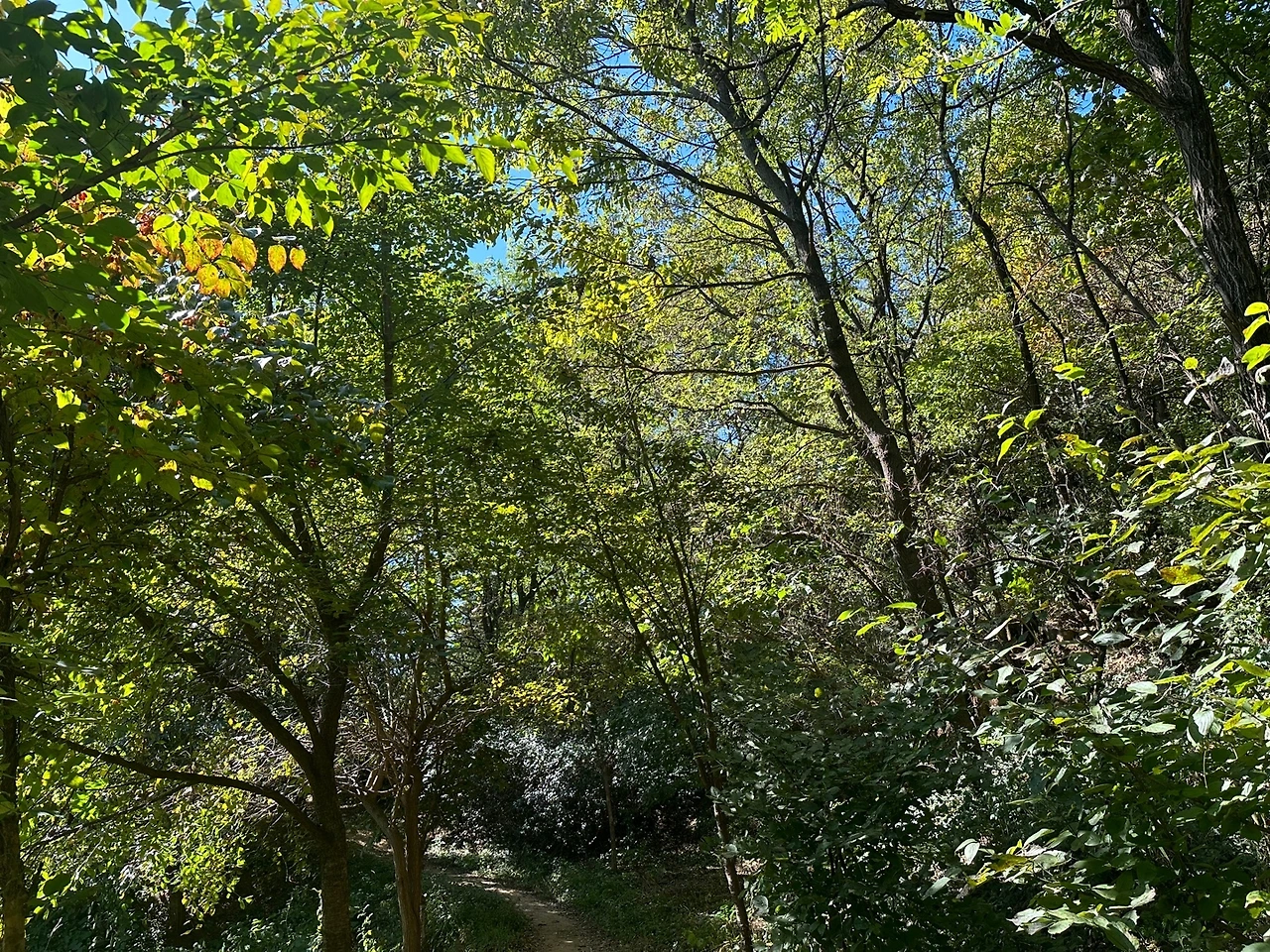 KakaoTalk_Photo_2023-10-21-16-28-43 005.jpeg