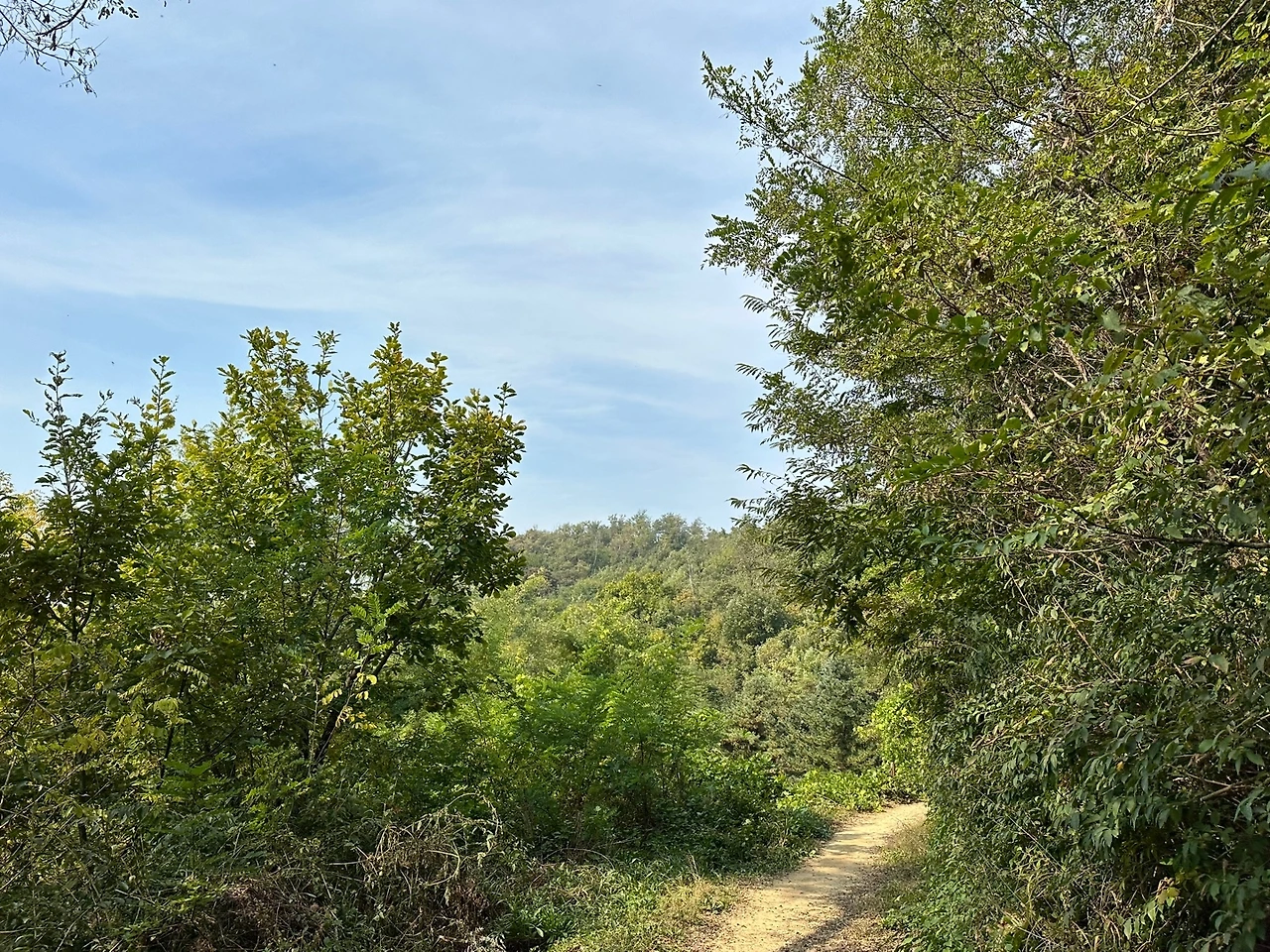 KakaoTalk_Photo_2023-10-24-18-19-07 011.jpeg