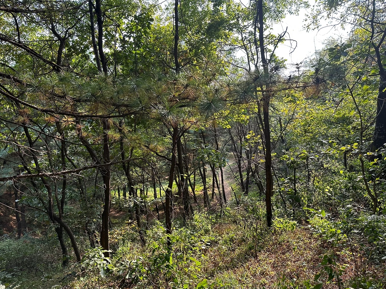 KakaoTalk_Photo_2023-10-23-18-15-32 001.jpeg