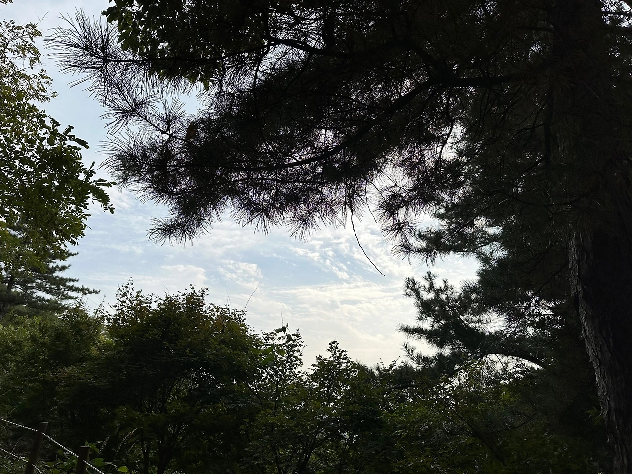 KakaoTalk_Photo_2023-10-18-23-11-15 002.jpeg