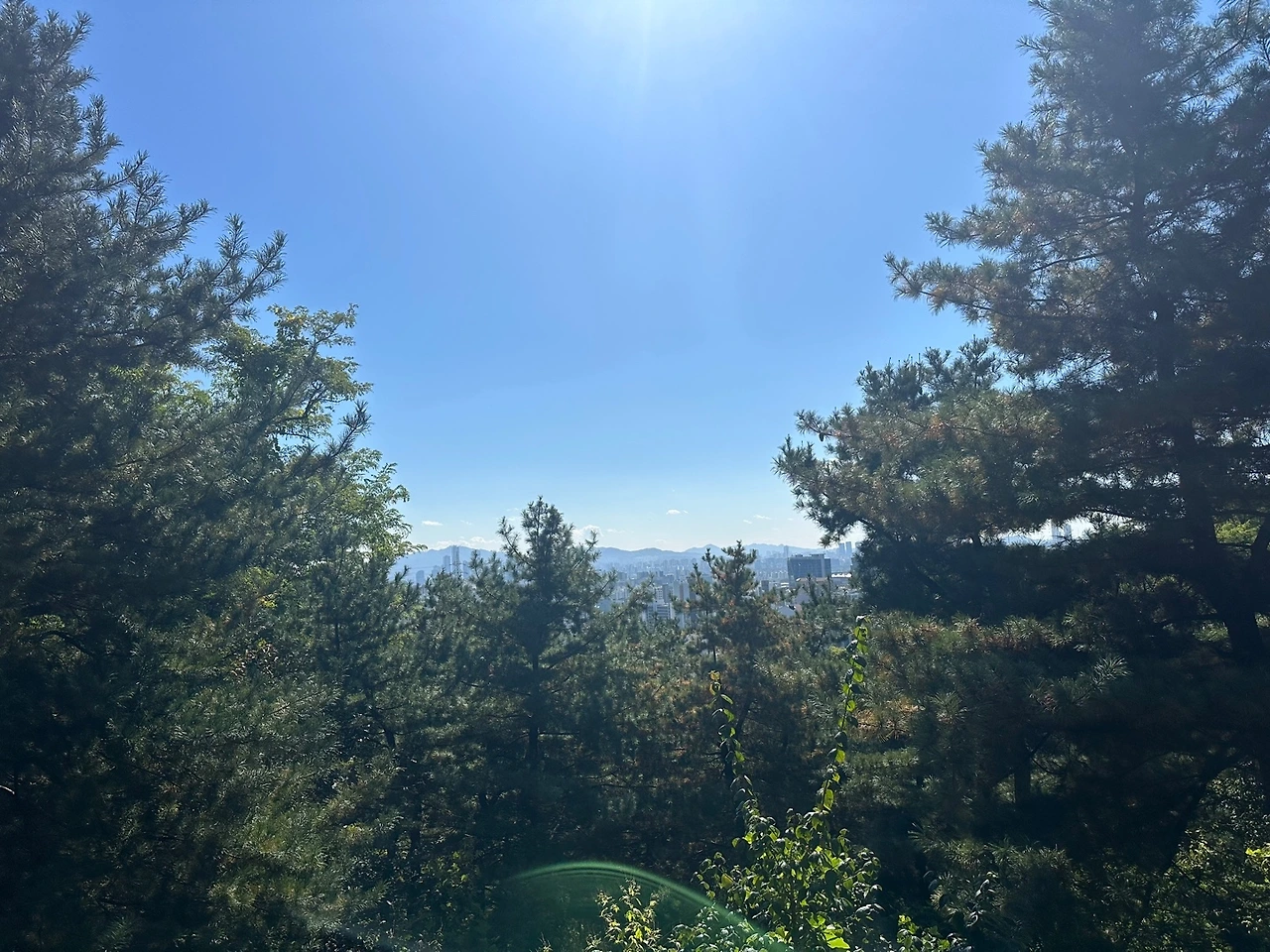 KakaoTalk_Photo_2023-10-21-16-28-45 013.jpeg