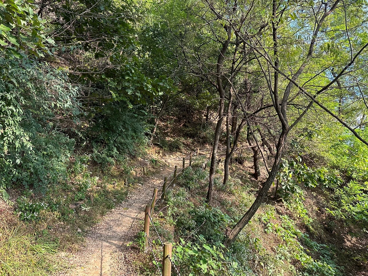 KakaoTalk_Photo_2023-10-23-18-15-33 004.jpeg