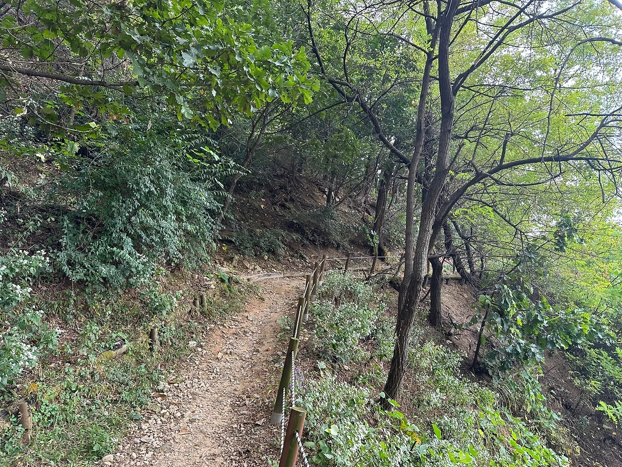 KakaoTalk_Photo_2023-10-18-23-11-15 006.jpeg