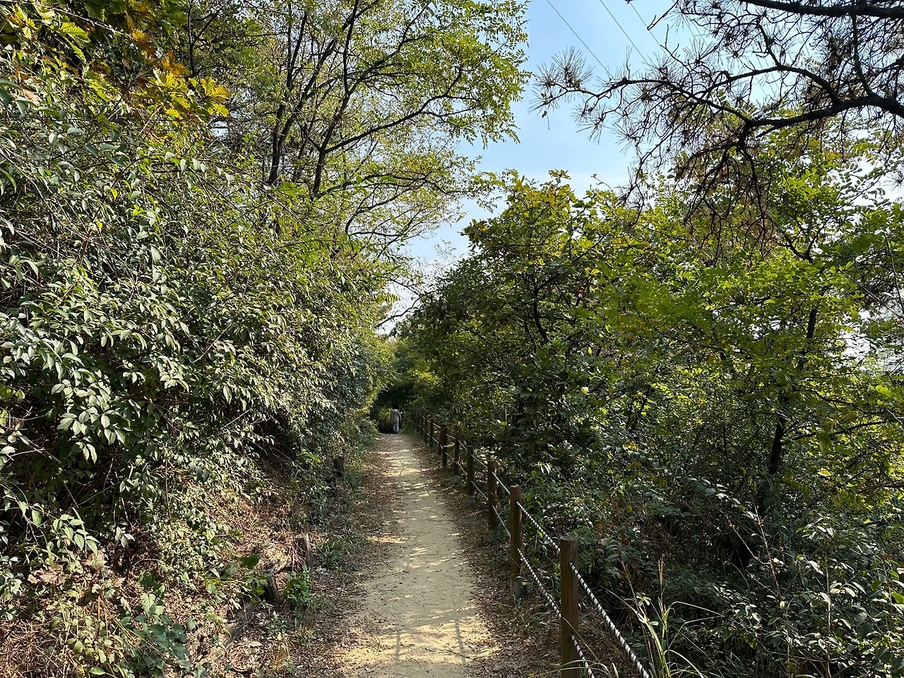 KakaoTalk_Photo_2023-10-24-18-19-08 013.jpeg