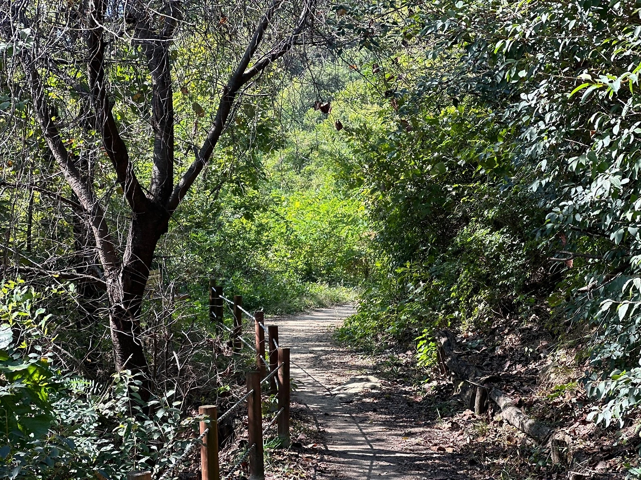 KakaoTalk_Photo_2023-10-17-14-19-09 014.jpeg