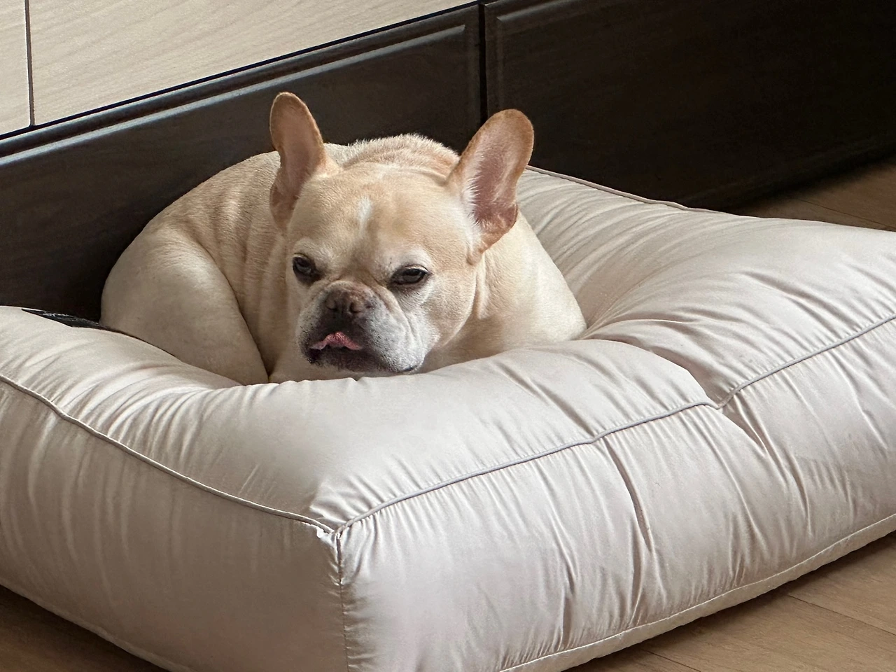 KakaoTalk_Photo_2023-10-27-15-58-29 011.jpeg