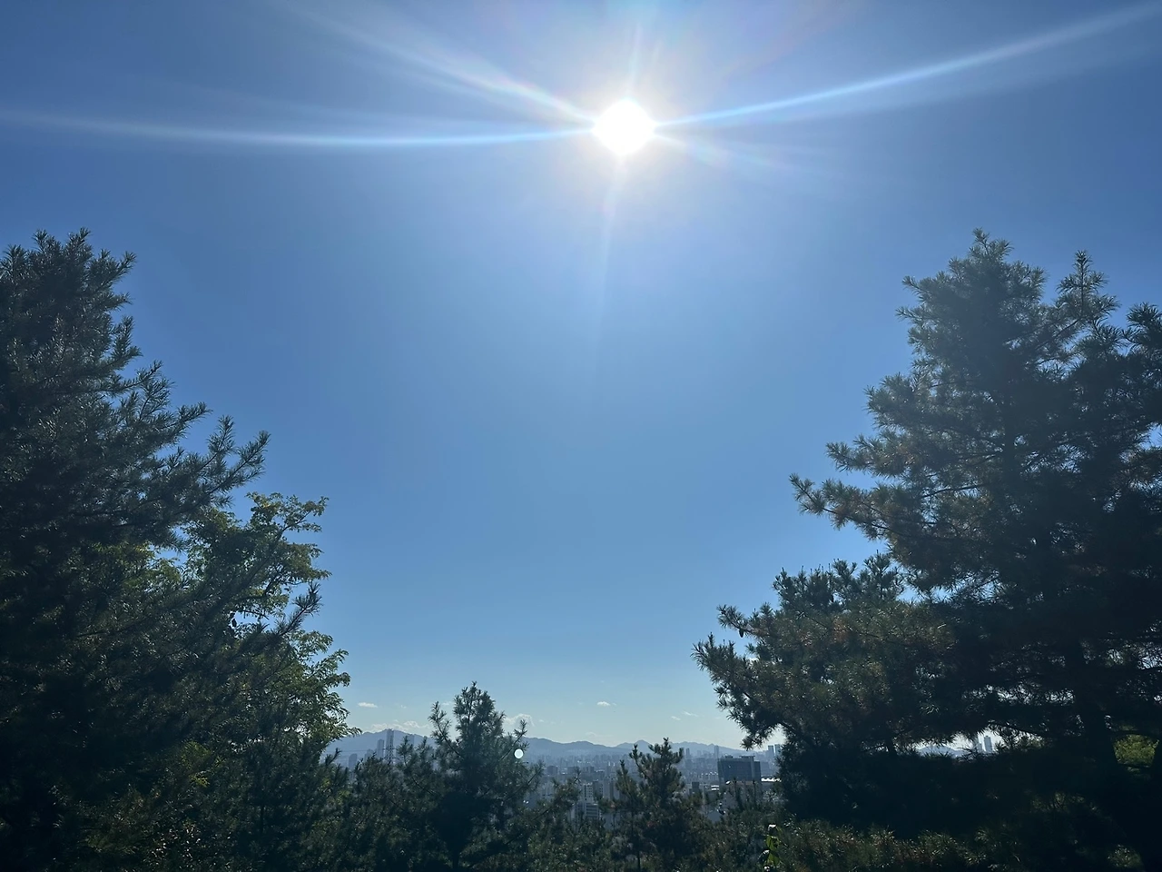 KakaoTalk_Photo_2023-10-21-16-28-44 011.jpeg