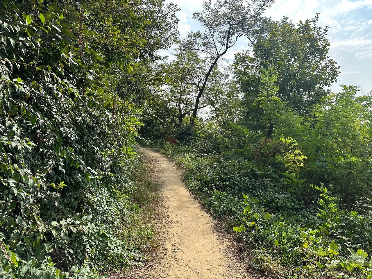 KakaoTalk_Photo_2023-10-18-23-11-16 011.jpeg