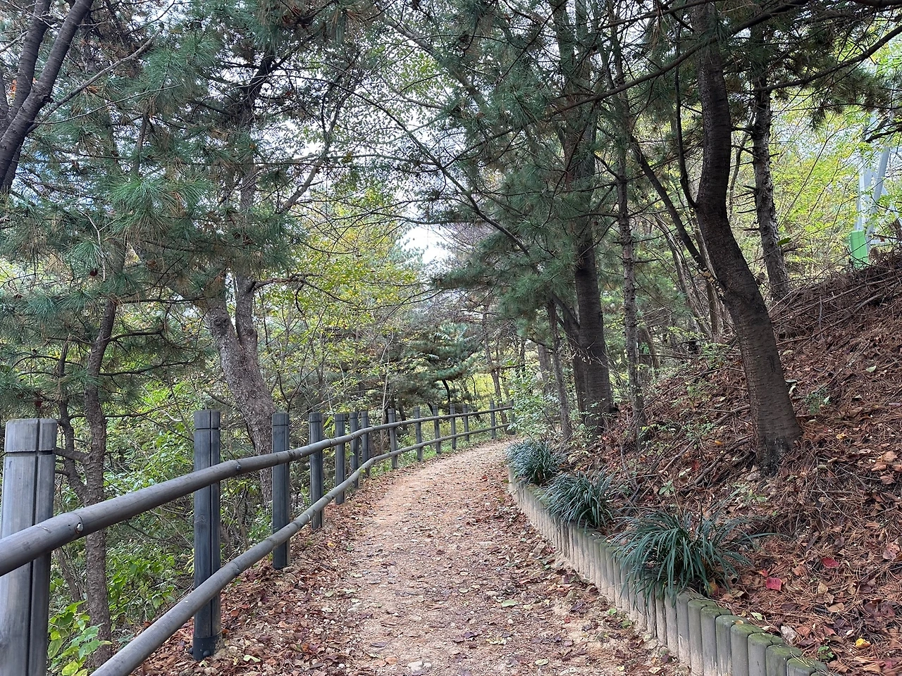 KakaoTalk_Photo_2023-10-27-15-58-28 008.jpeg