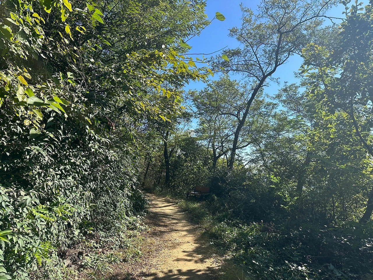 KakaoTalk_Photo_2023-10-21-16-28-45 015.jpeg