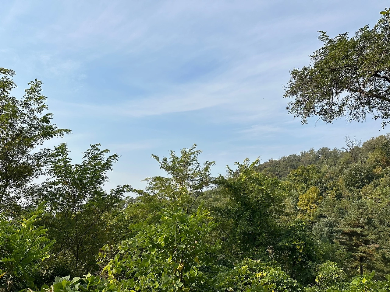 KakaoTalk_Photo_2023-10-24-18-19-07 009.jpeg