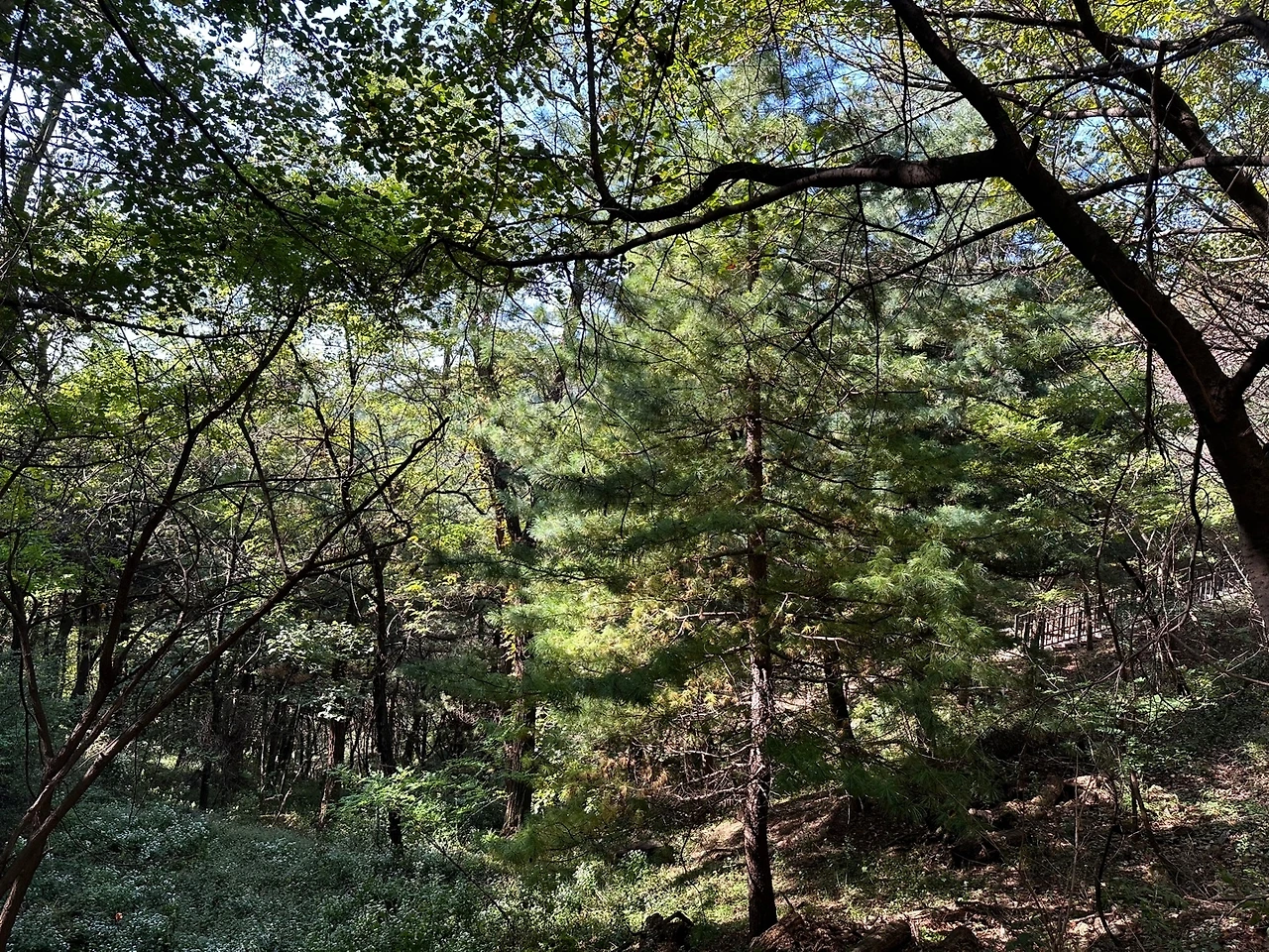 KakaoTalk_Photo_2023-10-17-14-19-06 003.jpeg