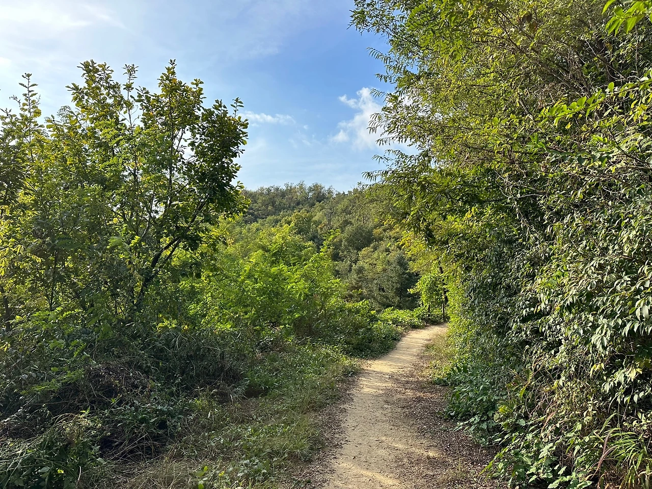 KakaoTalk_Photo_2023-10-22-21-09-45 001.jpeg