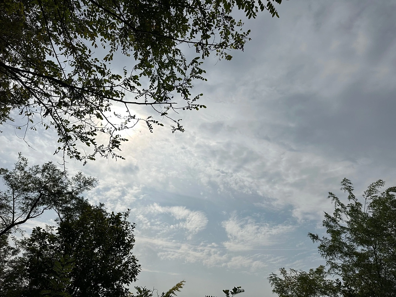 KakaoTalk_Photo_2023-10-18-23-11-16 012.jpeg