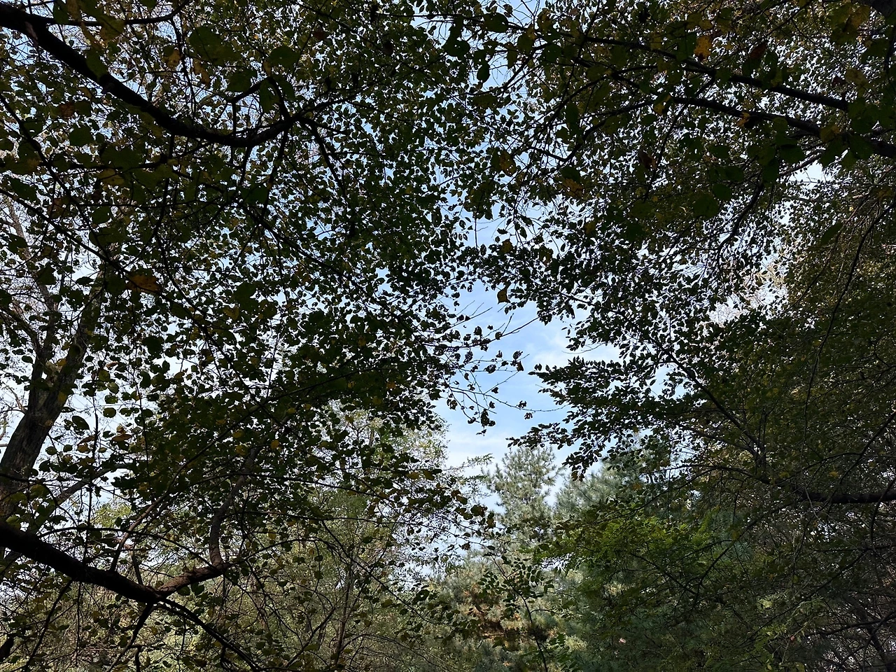 KakaoTalk_Photo_2023-10-24-18-19-09 017.jpeg