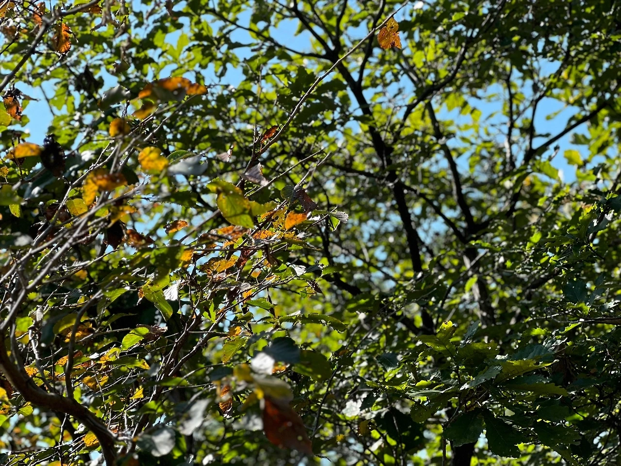 KakaoTalk_Photo_2023-10-17-14-19-09 016.jpeg