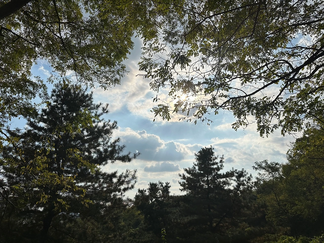 KakaoTalk_Photo_2023-10-23-18-15-33 005.jpeg