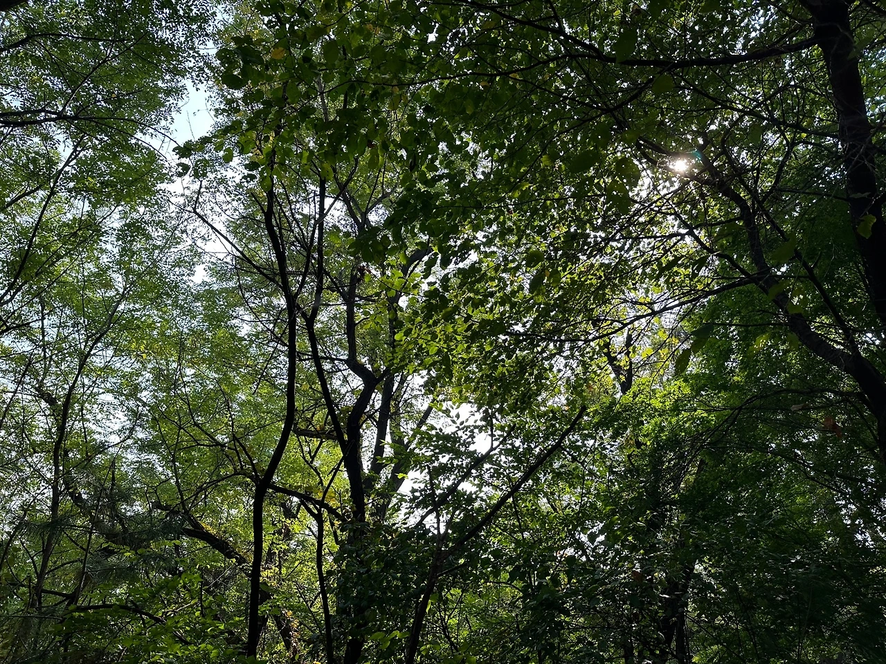 KakaoTalk_Photo_2023-10-24-18-19-10 021.jpeg