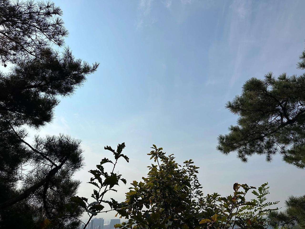 KakaoTalk_Photo_2023-10-24-18-19-08 014.jpeg