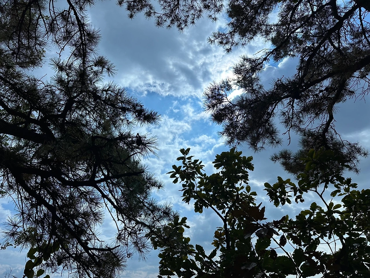 KakaoTalk_Photo_2023-10-27-15-58-27 004.jpeg