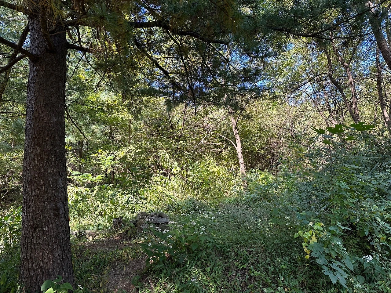 KakaoTalk_Photo_2023-10-17-14-19-06 005.jpeg