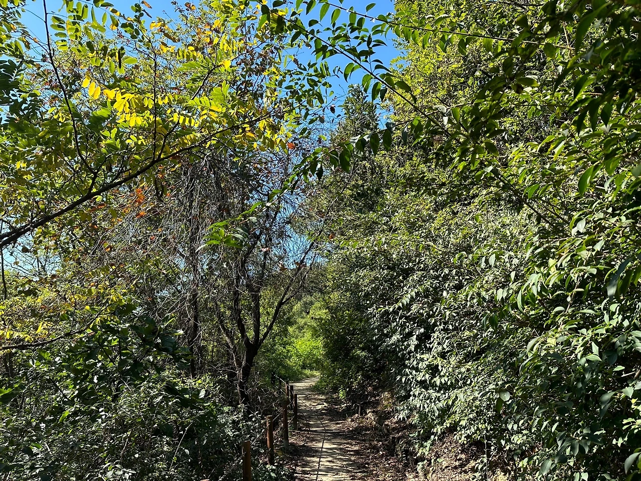 KakaoTalk_Photo_2023-10-17-14-19-08 012.jpeg