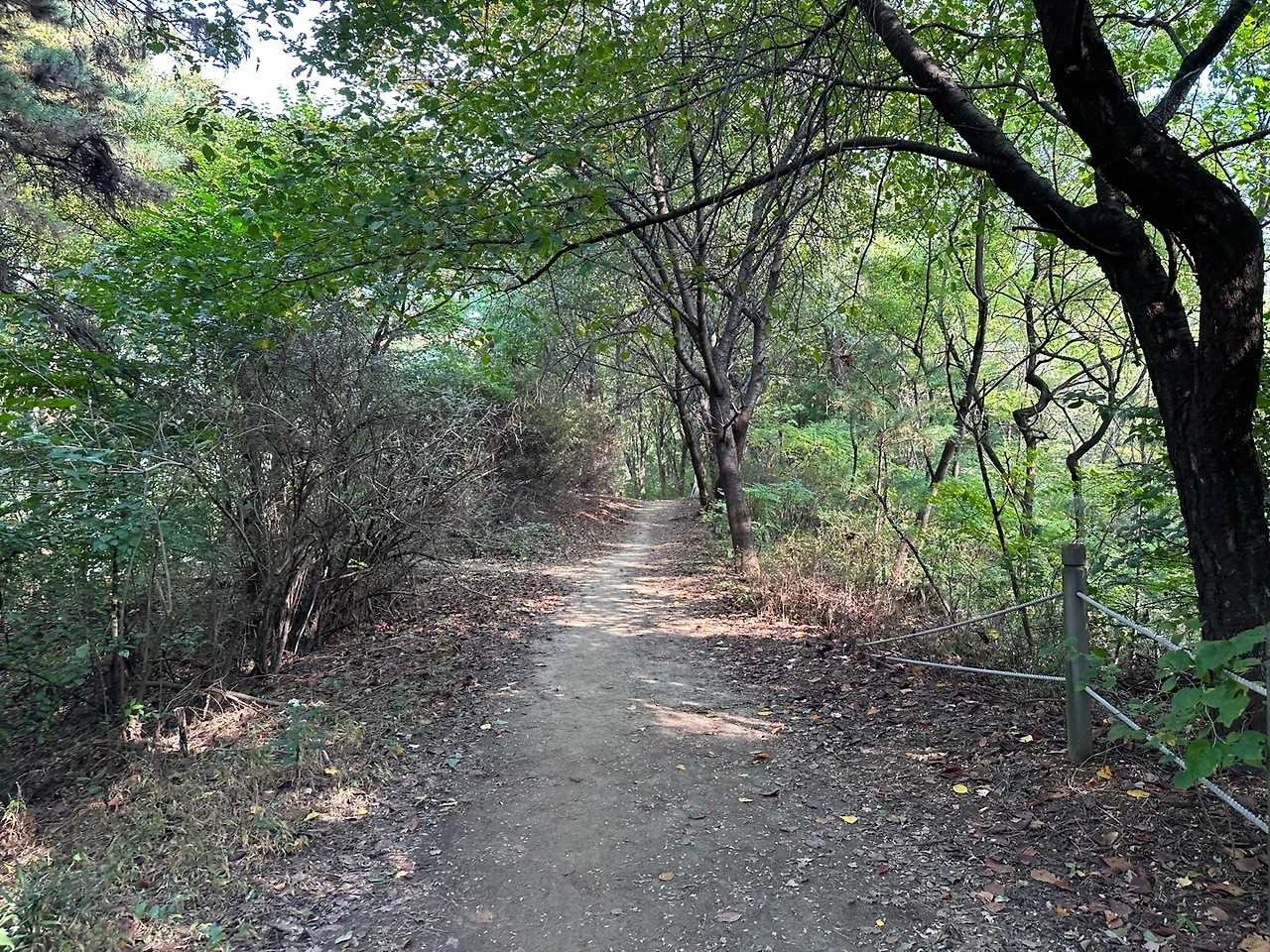 KakaoTalk_Photo_2023-10-24-18-19-10 022.jpeg