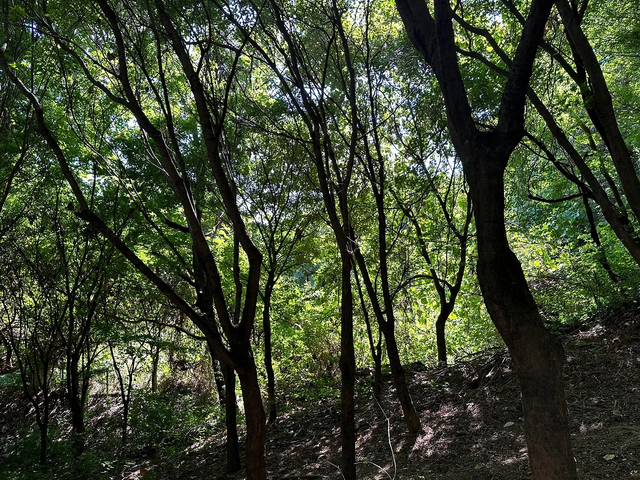 KakaoTalk_Photo_2023-10-17-14-19-10 019.jpeg