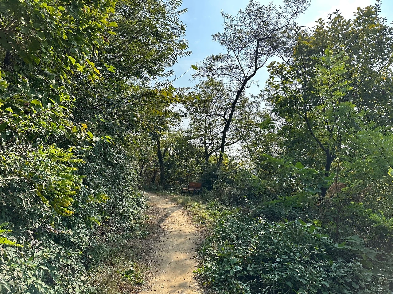 KakaoTalk_Photo_2023-10-24-18-19-07 008.jpeg