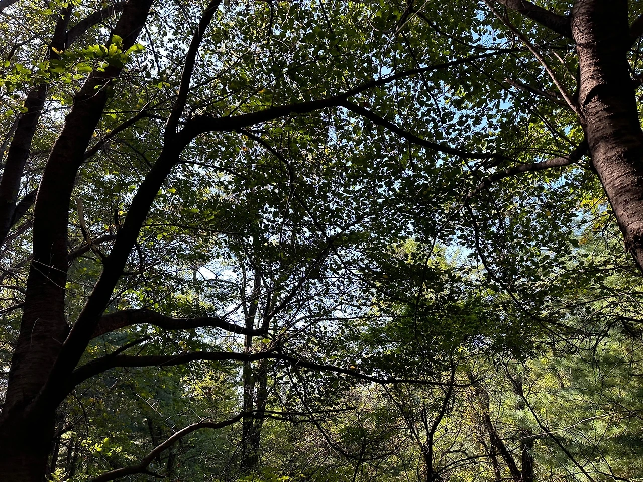 KakaoTalk_Photo_2023-10-17-14-19-05 001.jpeg