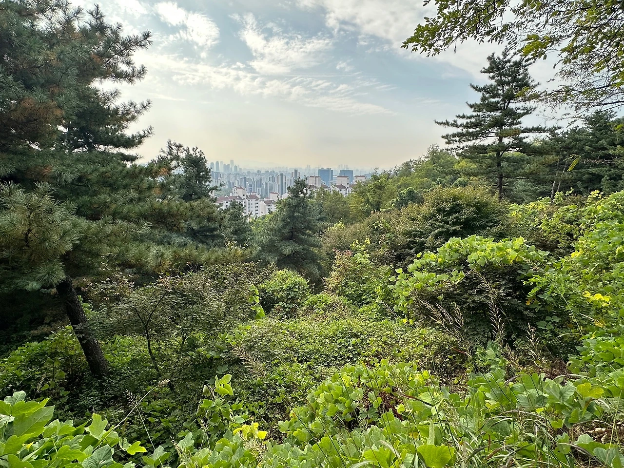 KakaoTalk_Photo_2023-10-18-23-11-15 003.jpeg