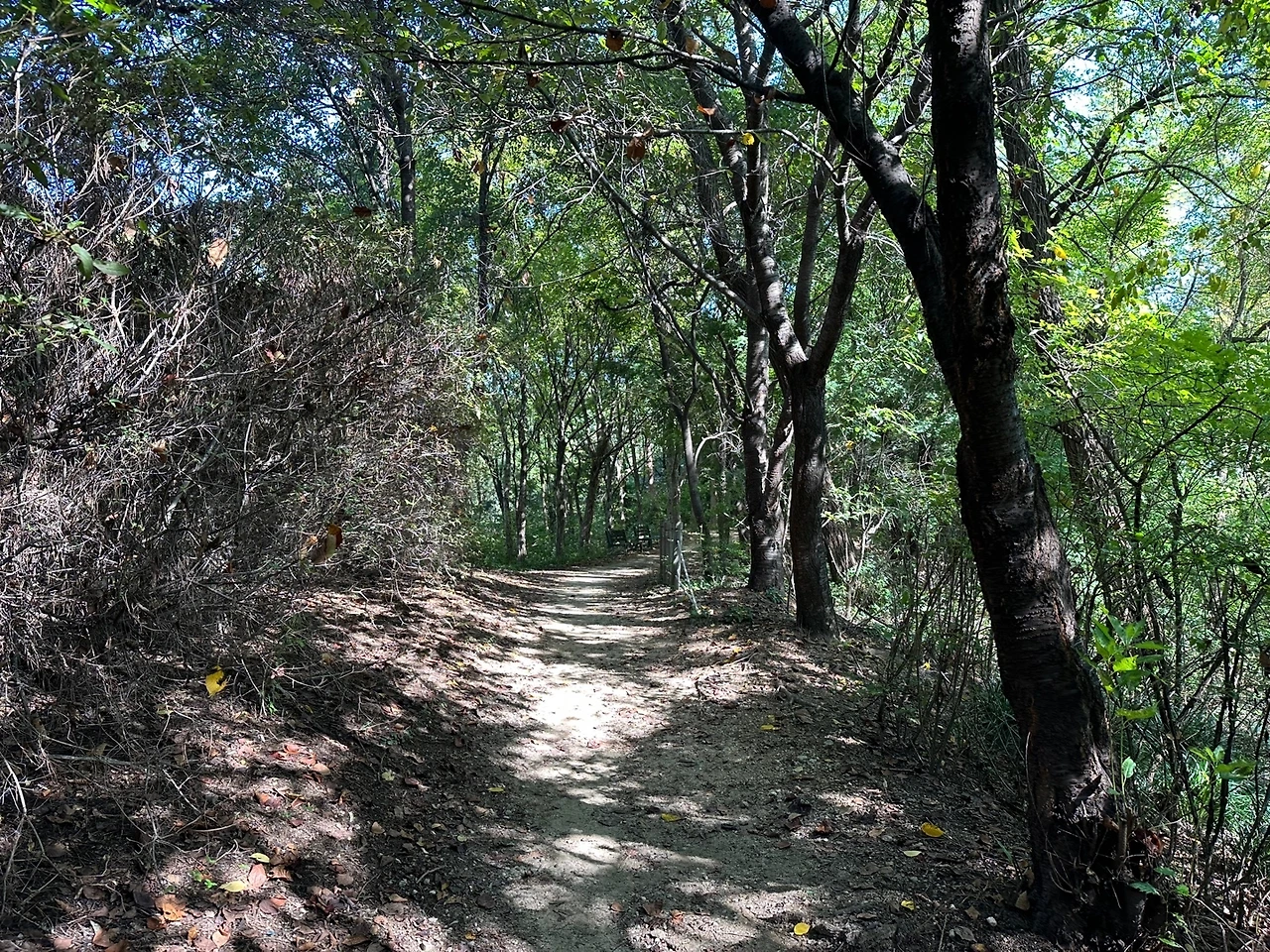 KakaoTalk_Photo_2023-10-16-17-26-45 003.jpeg