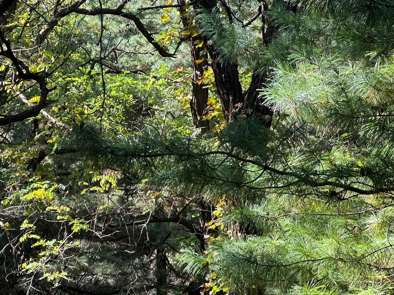 KakaoTalk_Photo_2023-10-17-14-19-06 002.jpeg