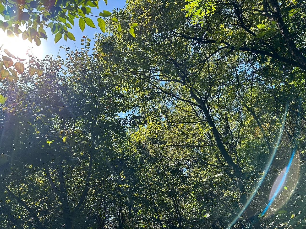 KakaoTalk_Photo_2023-10-17-14-19-07 007.jpeg