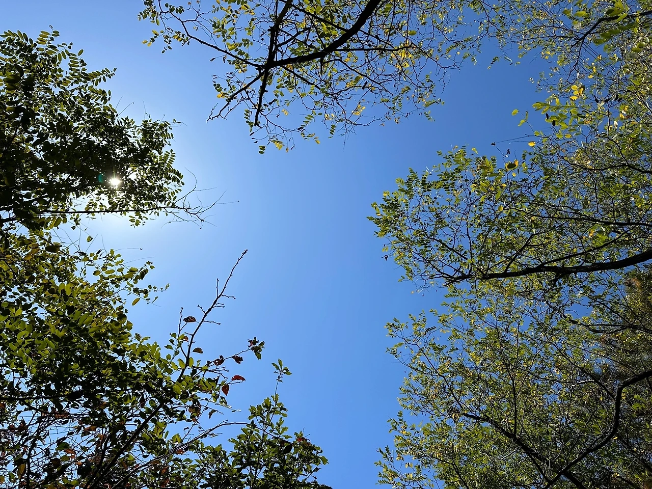 KakaoTalk_Photo_2023-10-17-14-19-10 017.jpeg