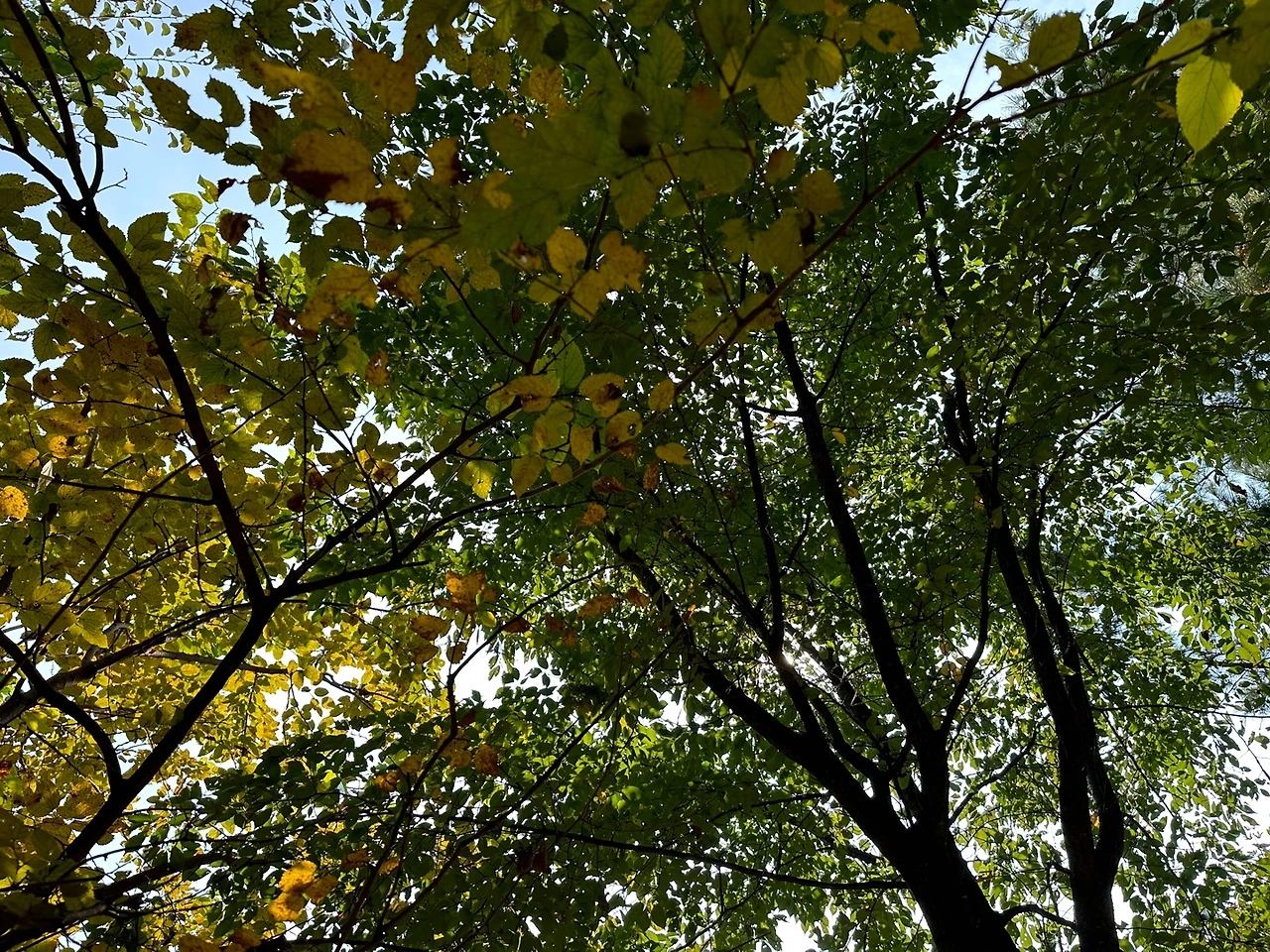 KakaoTalk_Photo_2023-10-24-18-19-07 006.jpeg