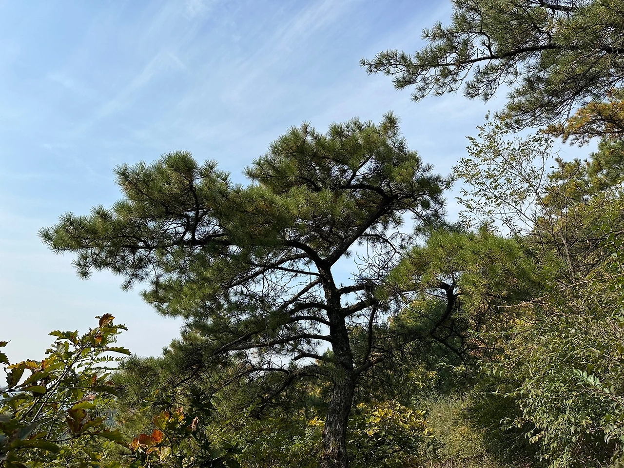 KakaoTalk_Photo_2023-10-24-18-19-09 015.jpeg